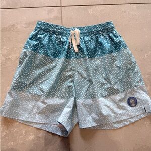 chubbies Blue Stripe with Spot Lined Classic Swim Trunks